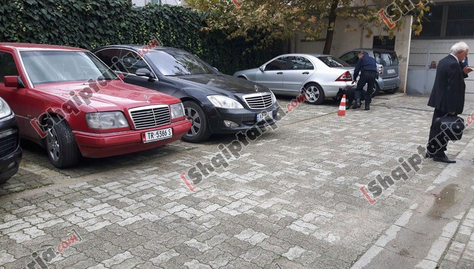 masa e sigurise masa te rreptka kontrrolle me qen