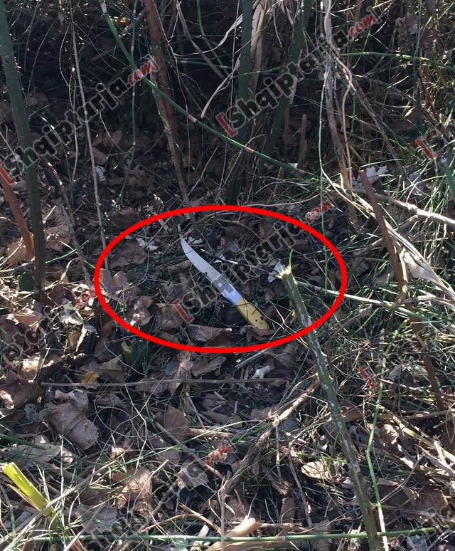 thika e krimit taksisti kavaje