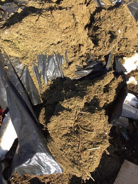 58 kg kanabis pogradec