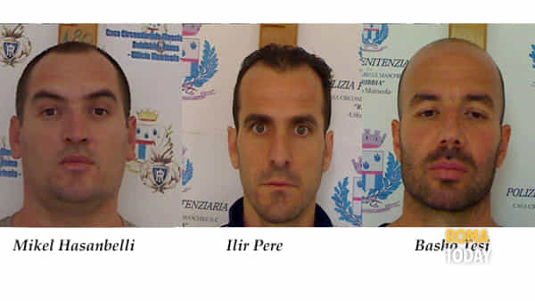 shqiptaret e arratisur