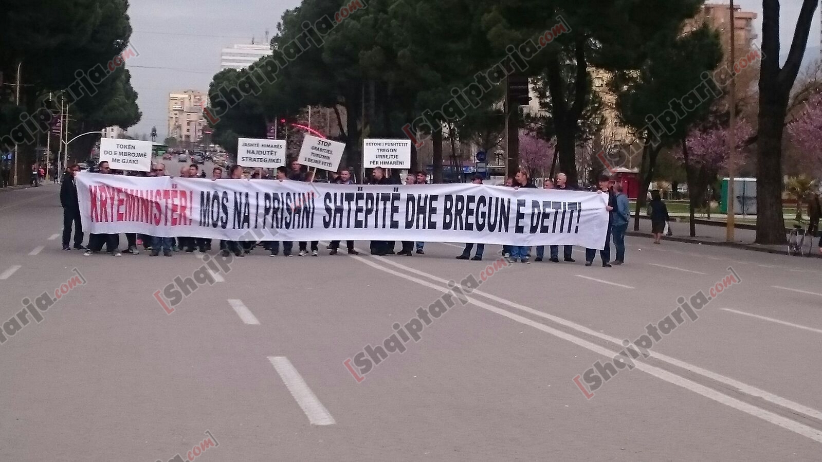 protestuesit himariot