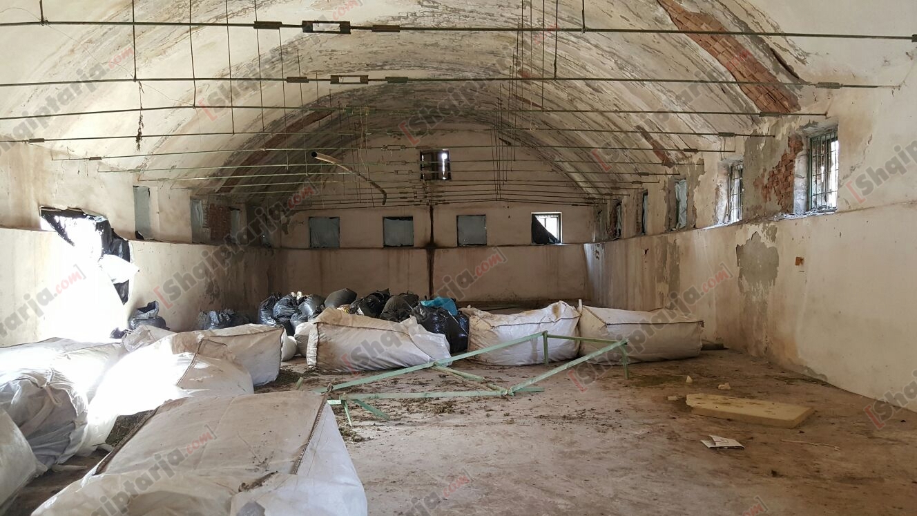 magazina e droges ne berat