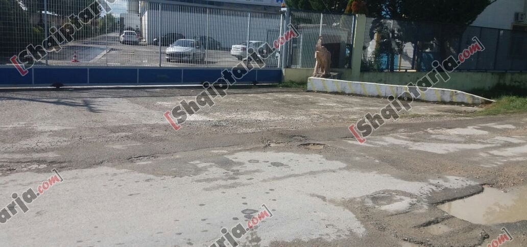 magazina qe u grabit firma