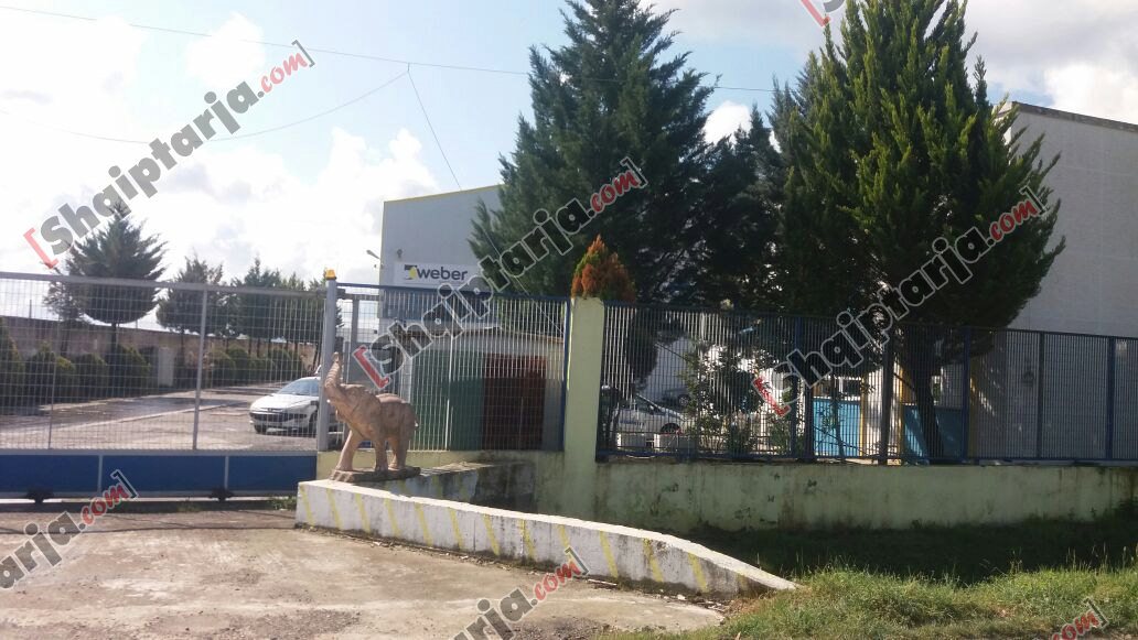 magazina qe u grabit firma