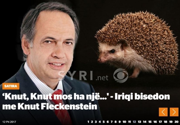 knut flenckestein sulmohet nga syri