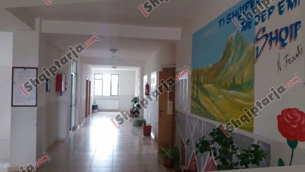 shkolla mustafa lleshi