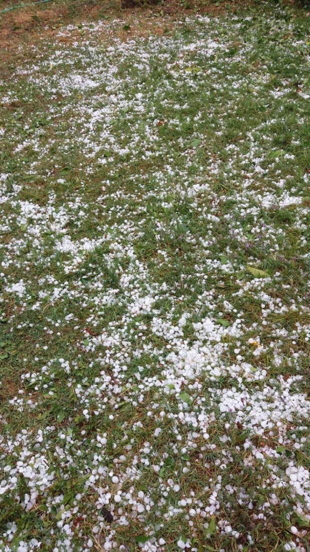 Breshëri ne Librazhd