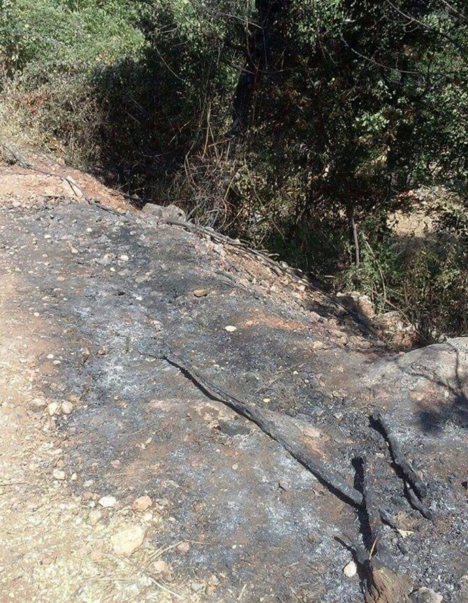 zjarrvenesi librazhd