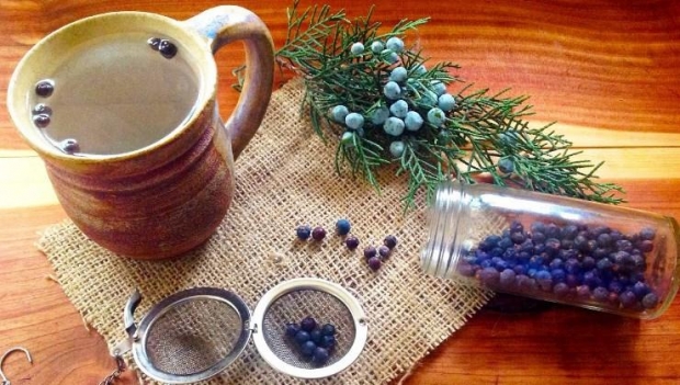 Kokrrat e dëllinjës