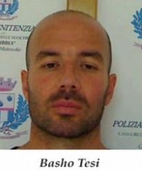 shqiptaret arratisje