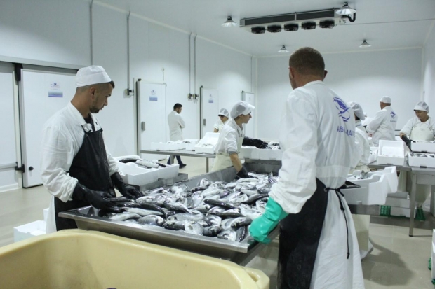 sipermarrja mesi qato