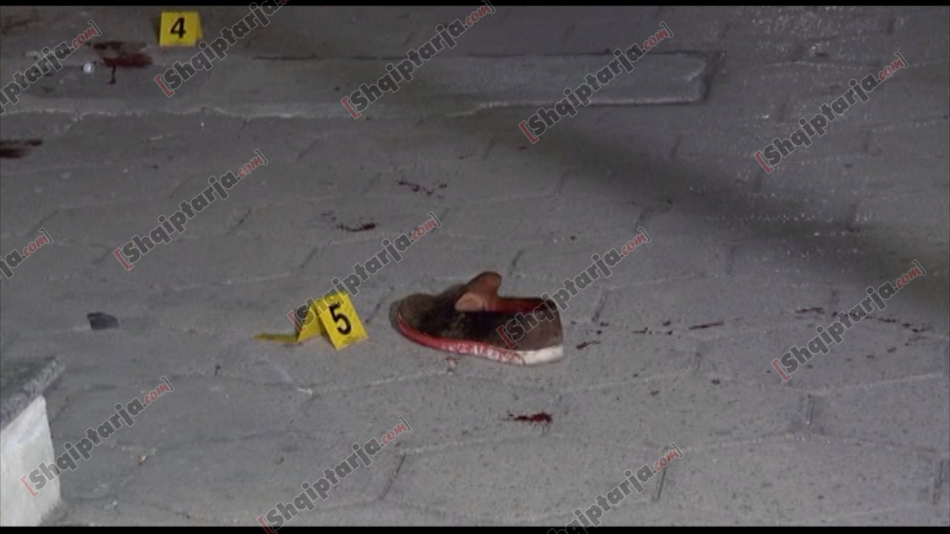 plagosja ne shengjin