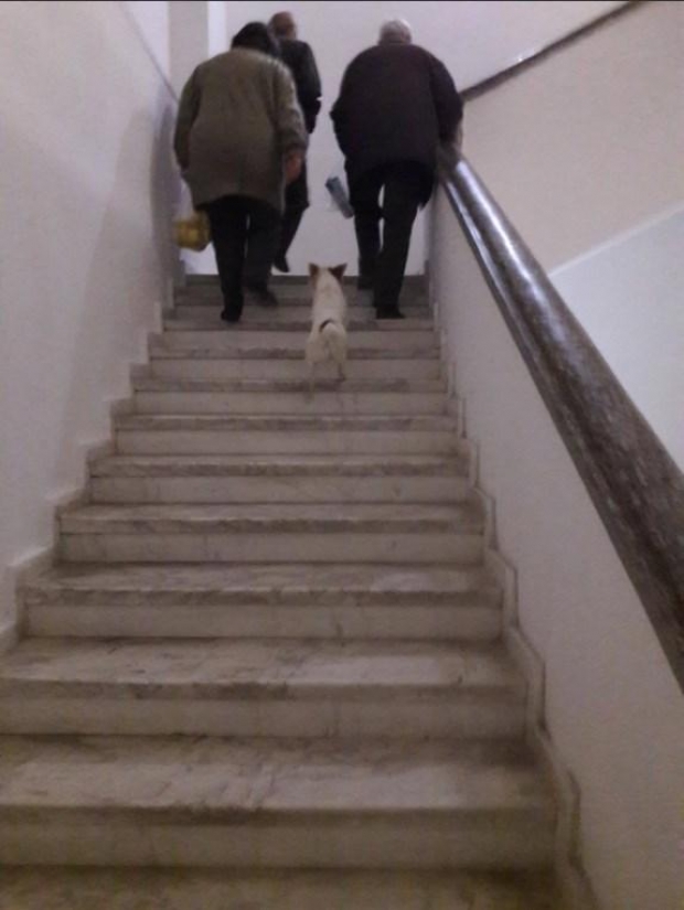 qente ne spitalin e gjirokasters