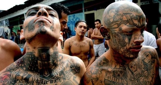 MS-13