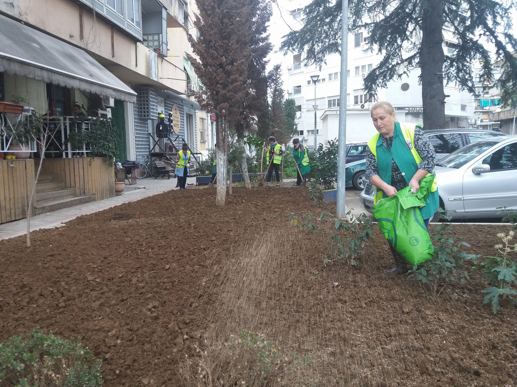 Qyteti i gjelbėr, Bashkia e Tiranės rikthen lulishtet mes pallateve