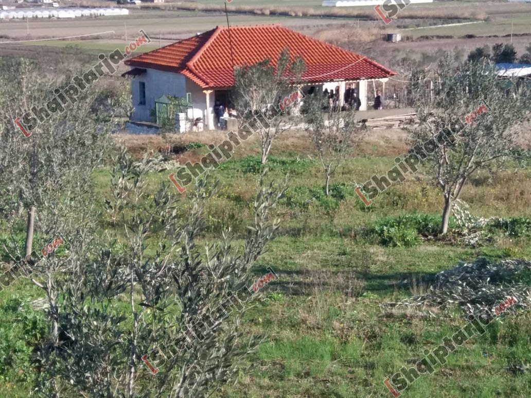 shpia hap dyert e morit ariela