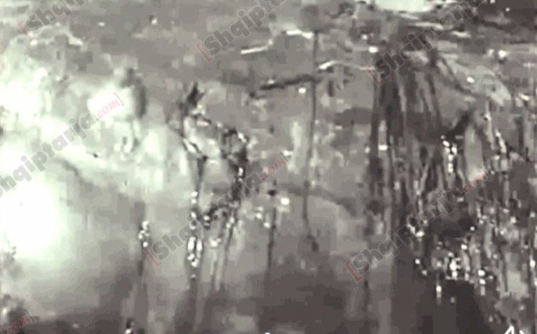 Ku shkoi gjithë ajo masë mishi dhe dhjami balene ?