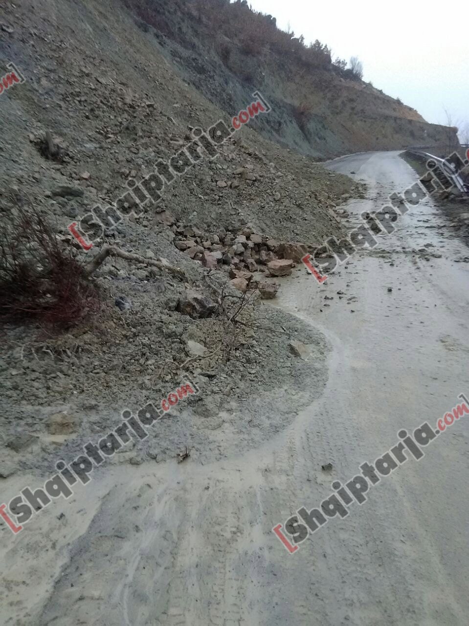 dogana trebishte dhera