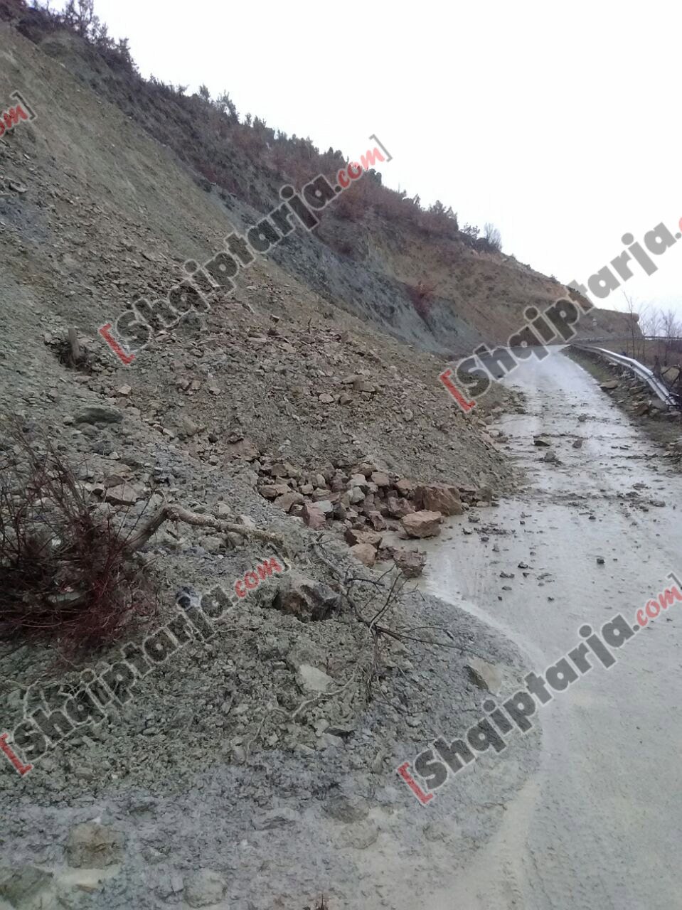 dogana trebishte dhera