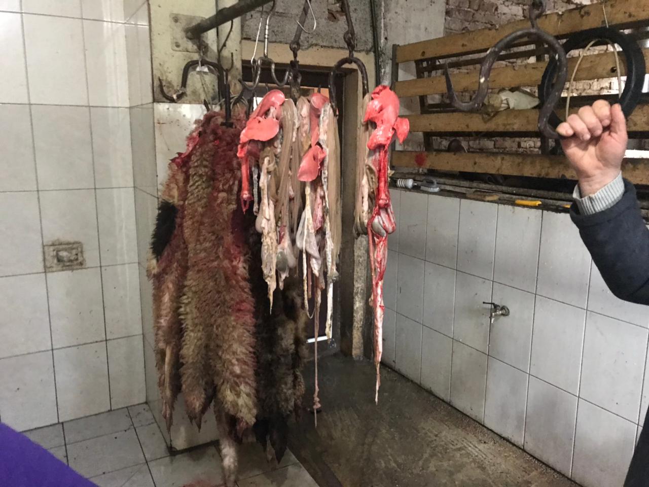 thertorja e durrsakut