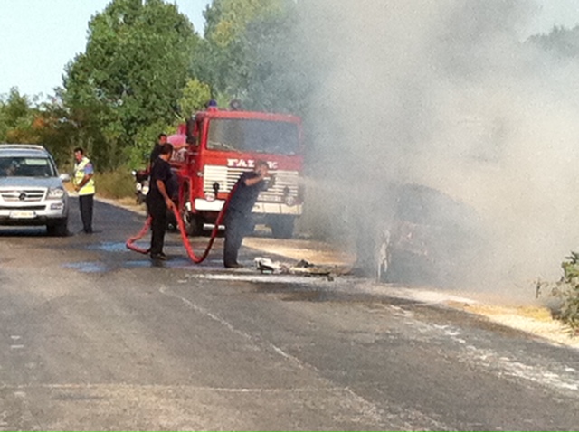 zjarrfikes pa kokore dhe veshje