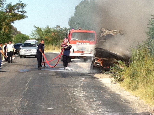 zjarrfikes pa kokore dhe veshje
