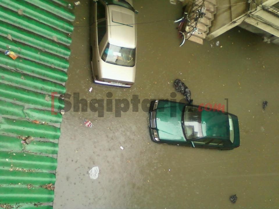 stadiumi dinamo me logo