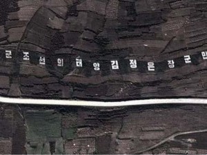 parrulla gjigande kore