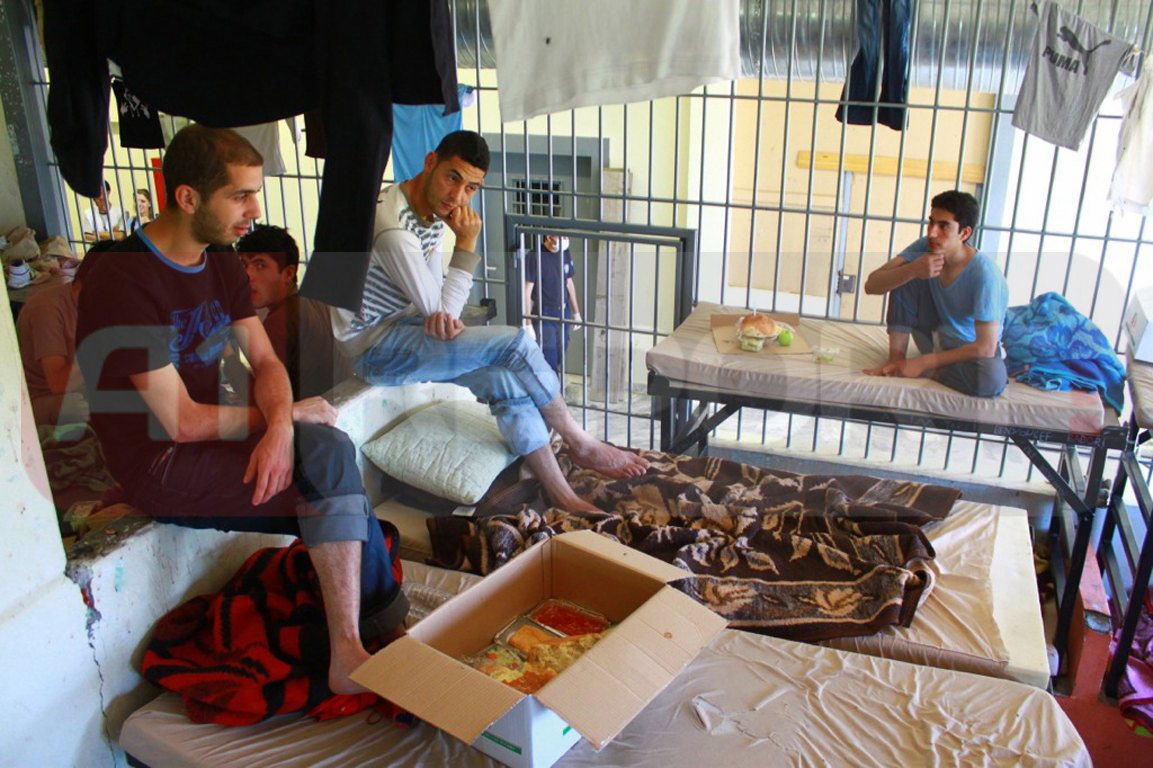 qeli shqiiptar burg greqi