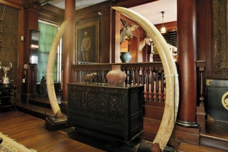 teodor rusvelt shtepi