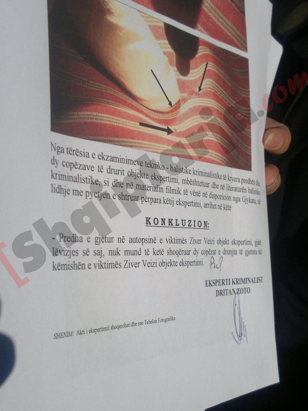 ziver veizi eksperti me logo