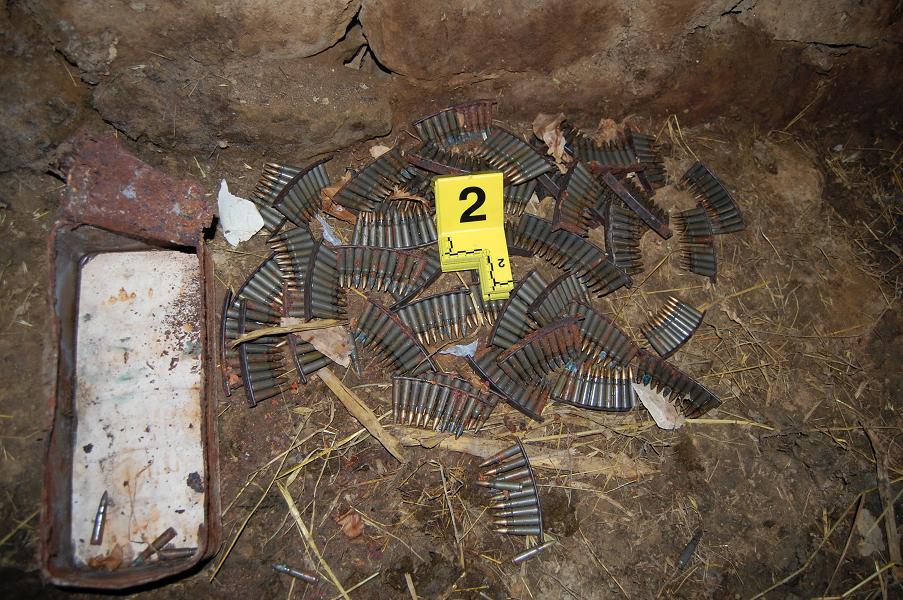 tepelene, armet e Luan Bërxhit