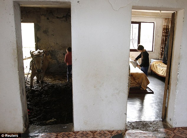 femijet e ngujuar shkoder