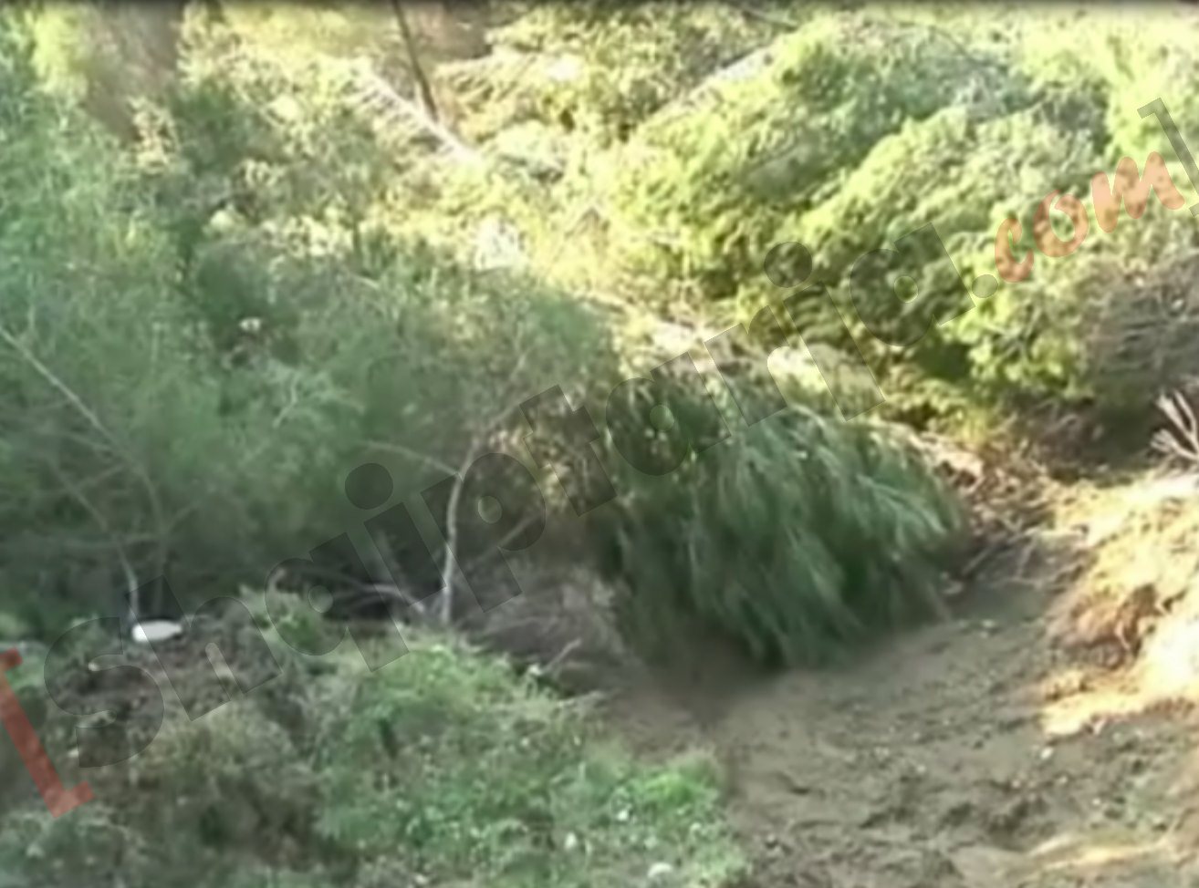 rreshqitje ne aksin durres kruje