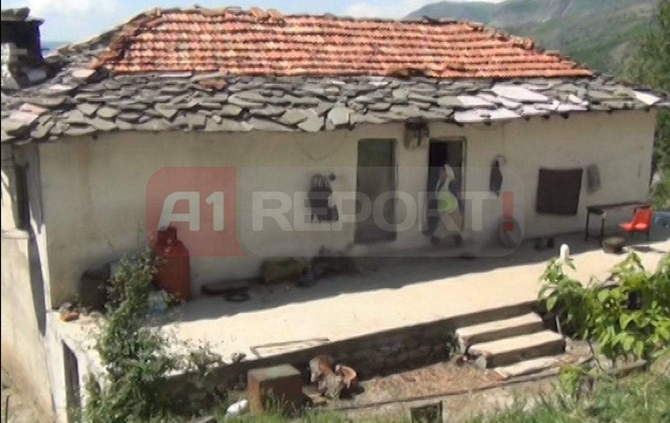 shtepia e nazime vishes