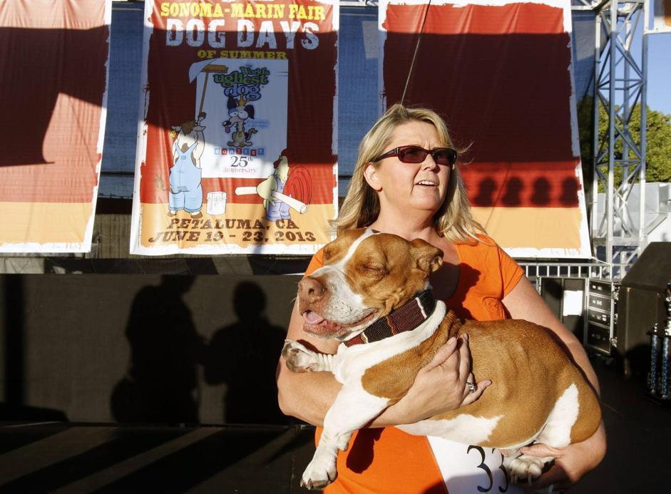 qen, i shemtuar, konkurs, shba