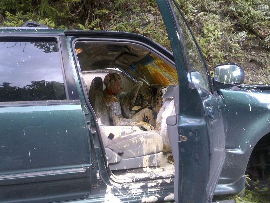 dush, boje, spital, shofer, shba, qen