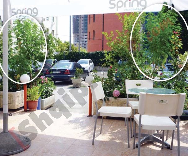 Hashash përballë Gjykatës së Krimeve të Rënda me logo