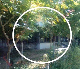 Te ish-fusha e aviacionit zaptohet lulishtja me logo