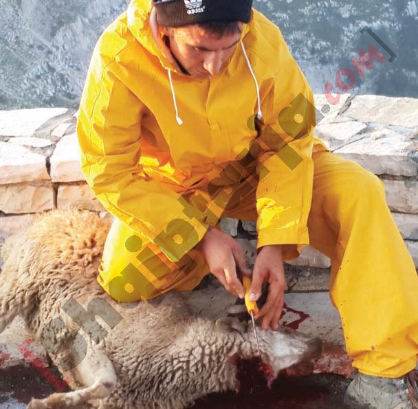 Duke u bërë kurban në teqe në majë të malit me logo