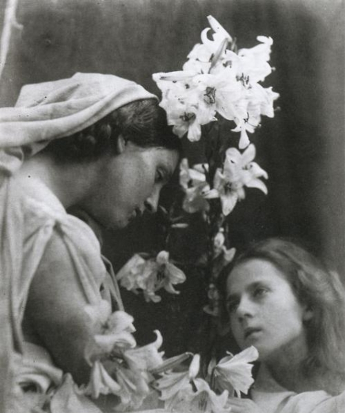 julia margaret cameron