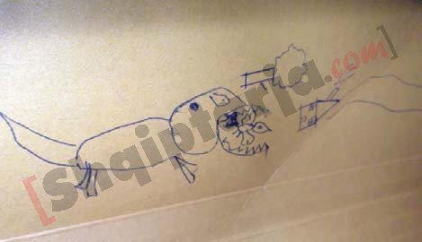 Vizatim i vëllait të vajzës 2 me logo