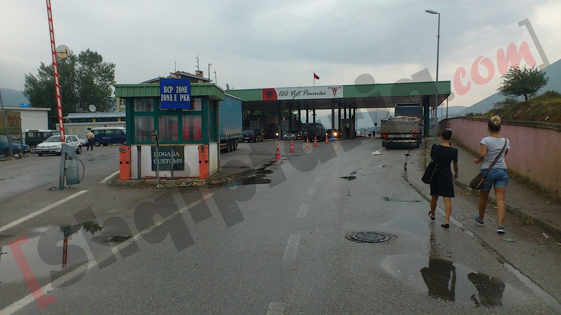 pika kufitare morine