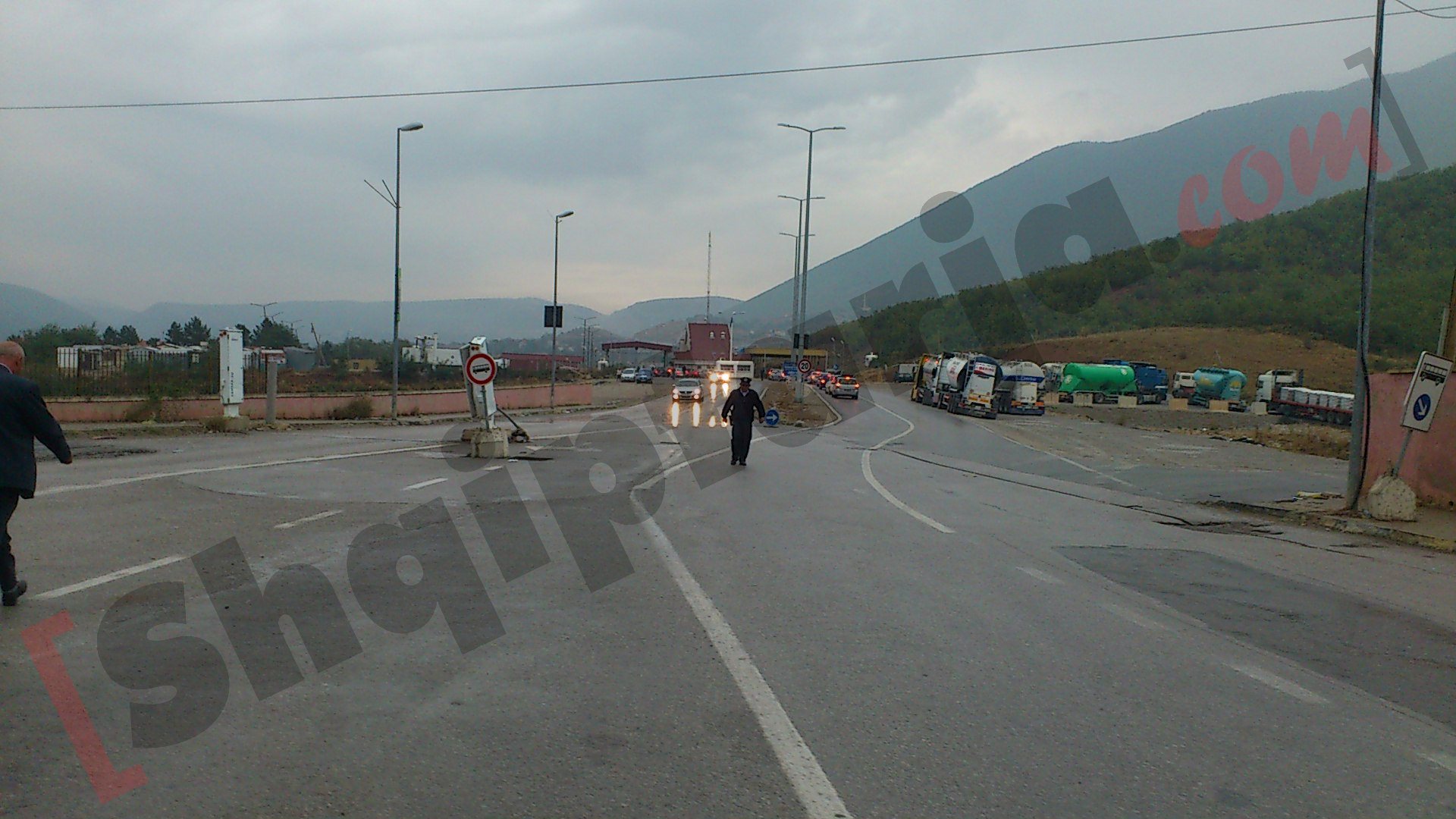 pika kufitare morine