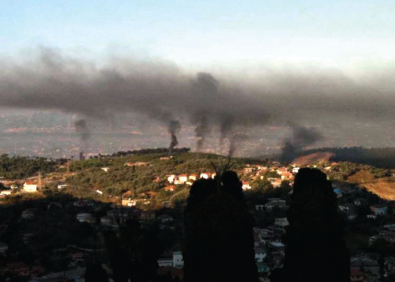 Pylli i dhuruar kompanisë Shpresa-Al nga Qeveria