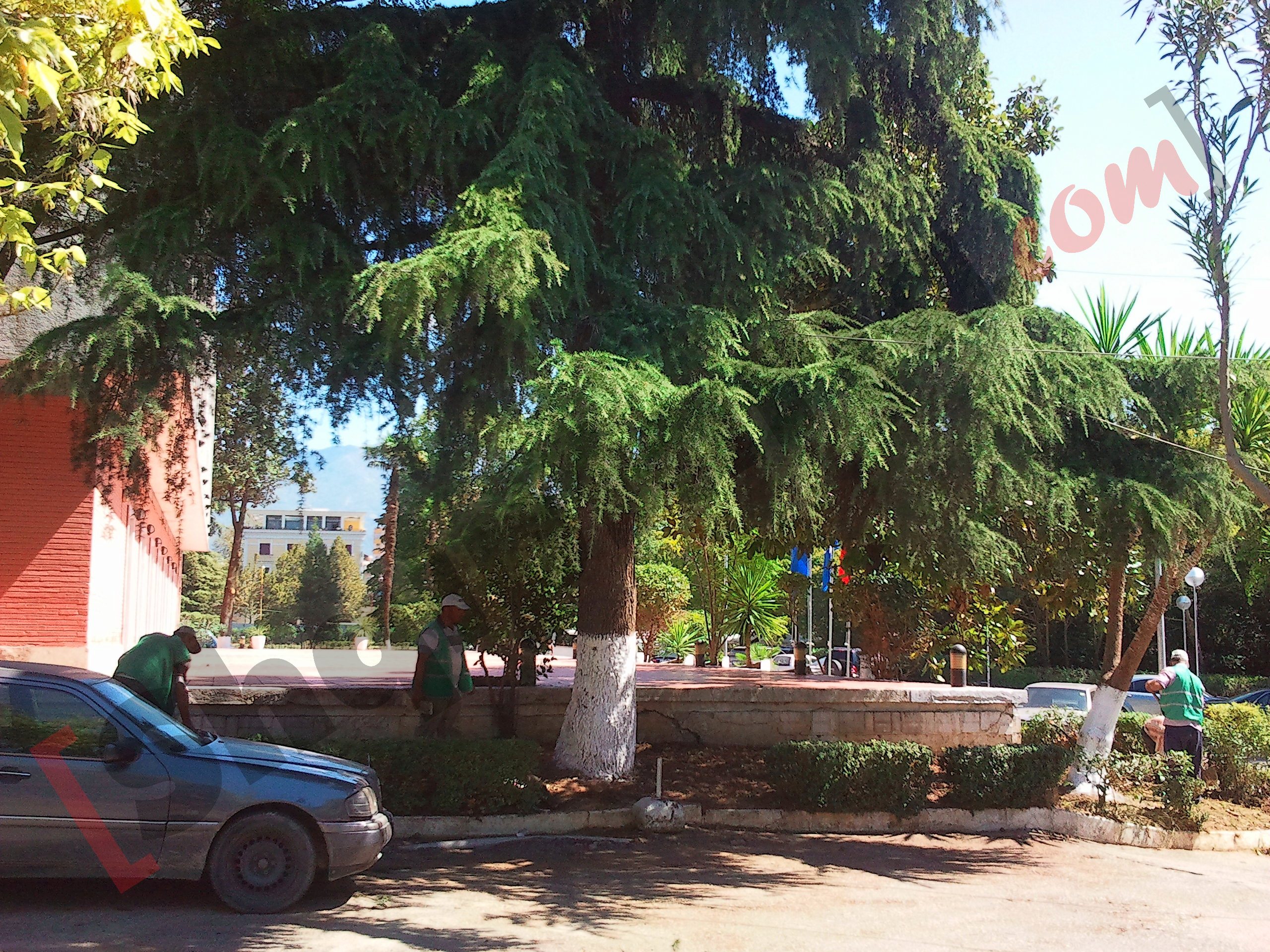 Punonjës të bashkisë në oborrin e  selisë së re të PD 3