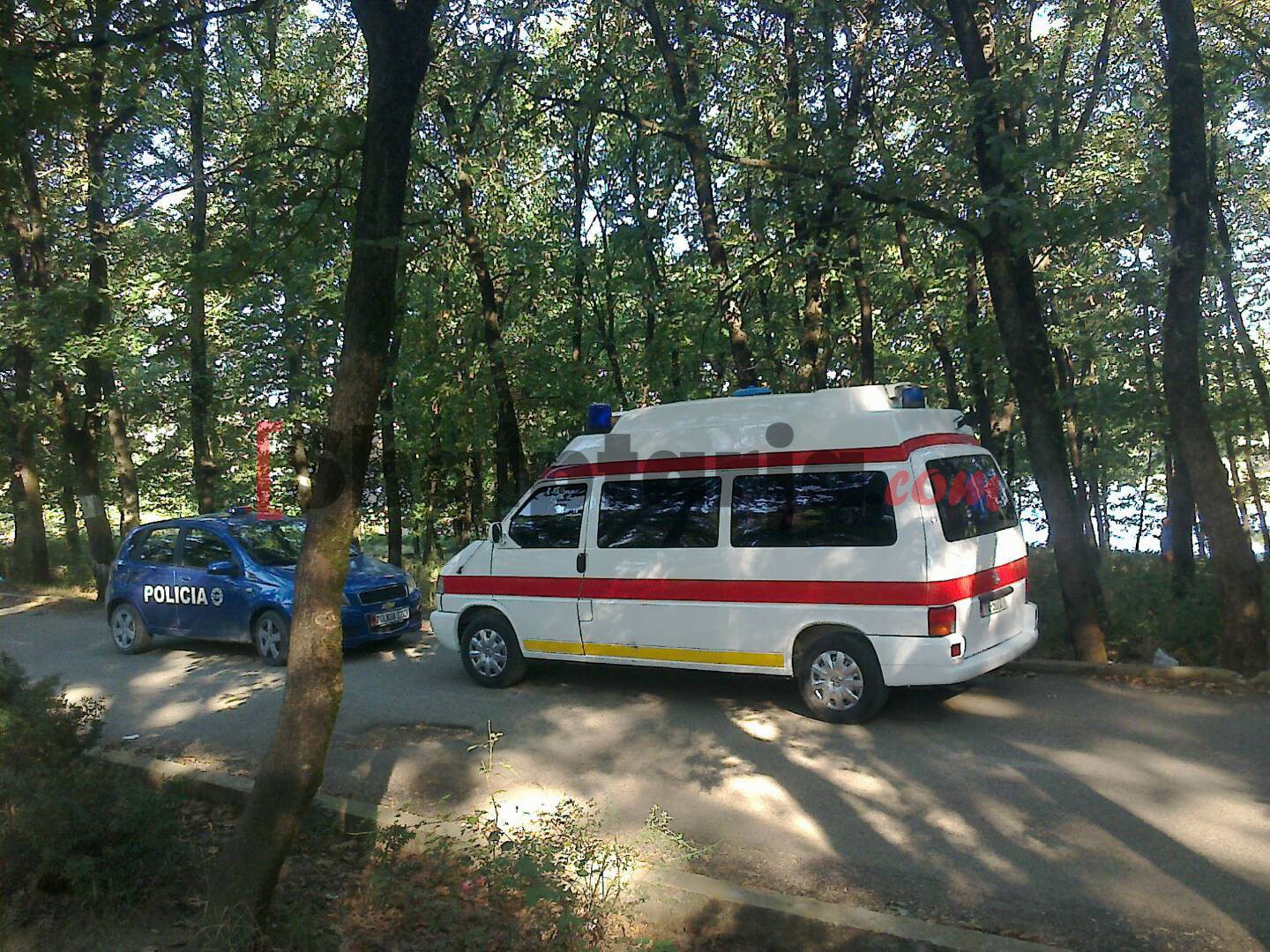 liqeni artificial polici 