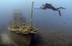 Fondacioni Detar RPM