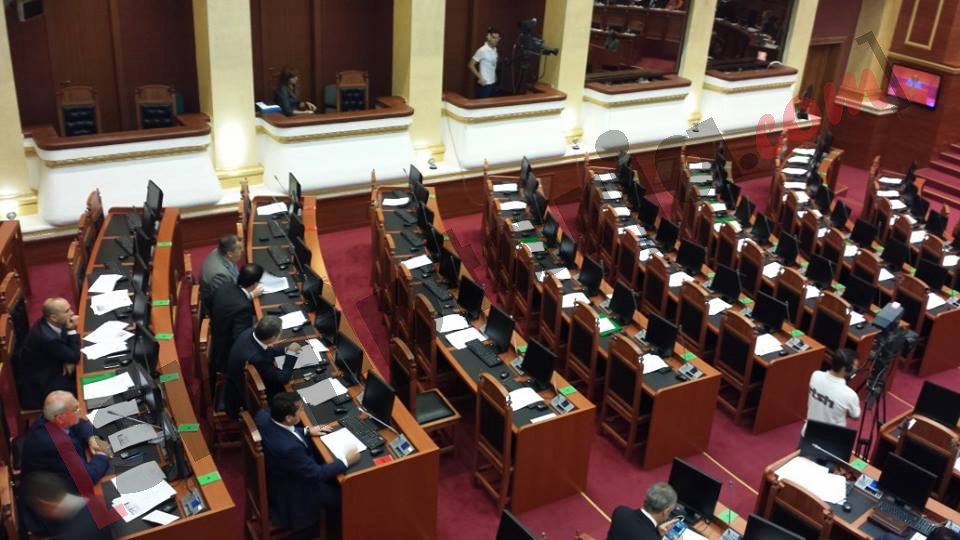 pdiu ne seance parlamentare ne votimin e nepunesit civil 