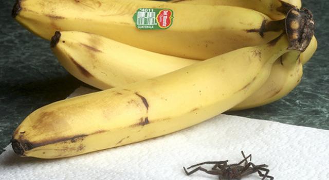 merimangat e bananes